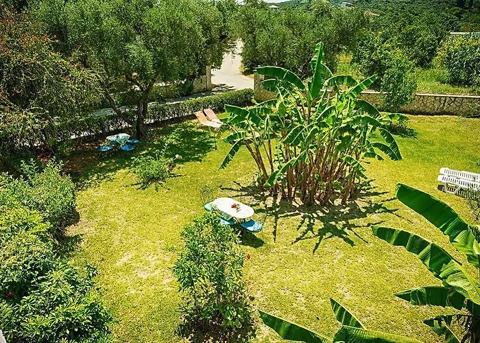 Artemis 3* Κυψέλη